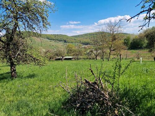 Foto - Grundst&uuml;ck in Adelsheim zur Miete