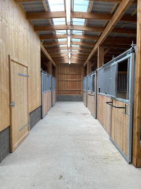 Foto - Mehrfamilienhaus, Wohnhaus in Üttfeld zum Kaufen