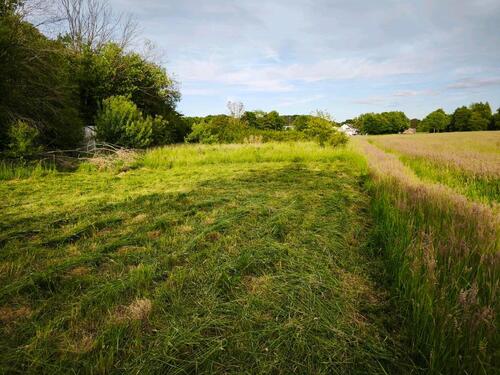 Foto - Grundst&uuml;ck in Malsch