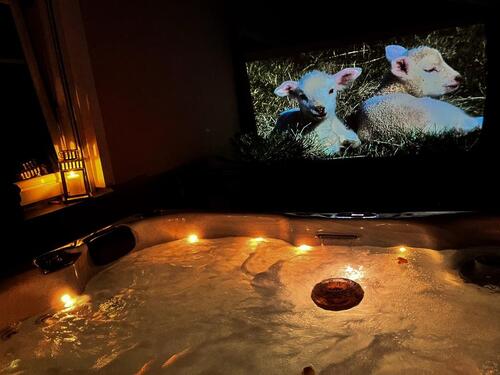 Foto - FeWo „Panorama-Refugium“, privater Whirlpool, Kamin, Grill, 3 SZ