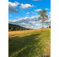 Dauerstellplatz Campingplatz - 2,00&nbsp;EUR Kaltmiete, ca.&nbsp; 100,00&nbsp;m&sup2; in Forbach (PLZ: 76596)