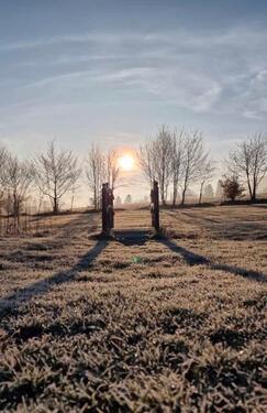 Foto - Grundst&uuml;ck zur Miete in Forbach