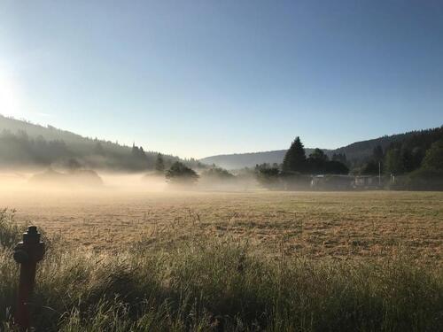 Foto - Grundst&uuml;ck in Forbach zur Miete