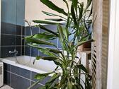 Foto - Einfamilienhaus in Harburg (Schwaben) zum Kaufen