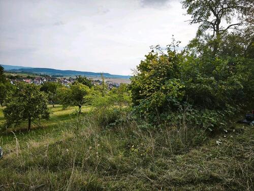 Foto - Grundst&uuml;ck zur Miete in Ammerbuch