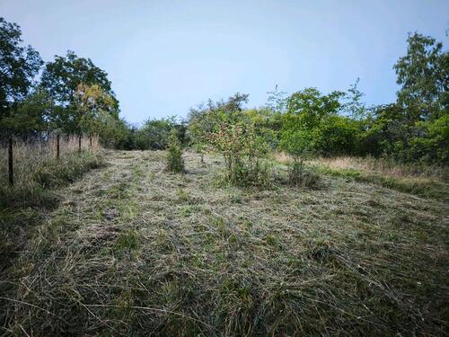 Foto - Grundst&uuml;ck in Ammerbuch zur Miete