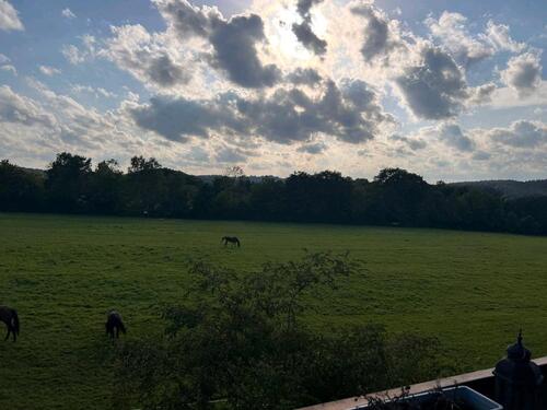 Foto - 2.5 Zimmer Dachgeschoßwohnung zur Miete in Trippstadt