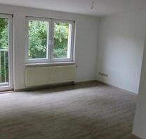 Ruhige, renovierte 2-Raum-Wohnung mit separatem Zugang - Naumburg (Saale)
