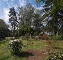 2 Zimmerwohnung EG Terrasse in Schwarmstedt