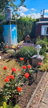 Foto - Grundst&uuml;ck zur Miete in Mühlhausen (Thüringen)