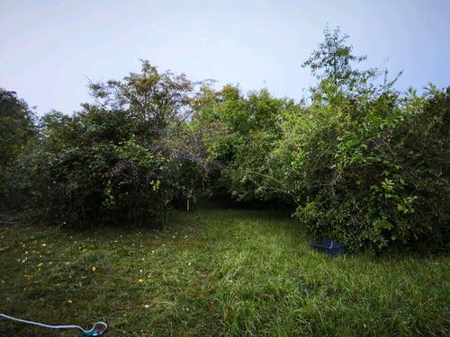 Foto - Grundstück in Bruchsal - 130,00&nbsp;EUR Kaltmiete, ca.&nbsp; 0,00&nbsp;m&sup2;