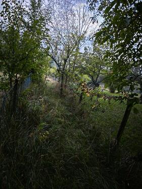 Foto - Grundst&uuml;ck zur Miete in Bruchsal