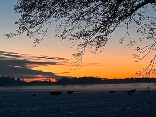 Foto - Einfamilienhaus in Langenhorn zur Miete
