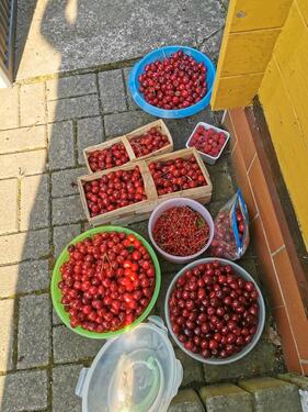 Foto - Grundst&uuml;ck in Gera