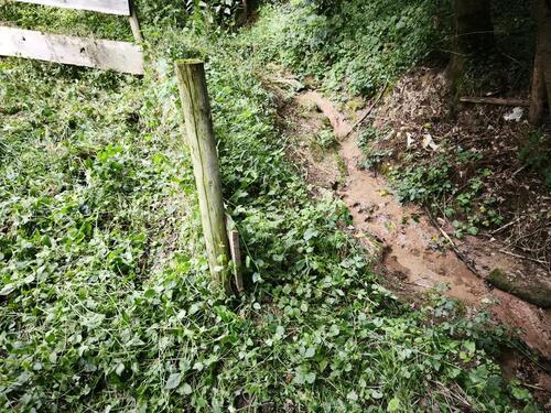 Foto - Grundst&uuml;ck in Kirchberg an der Murr zur Miete