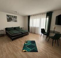 Monteur- oder Ferienwohnung zu vermieten, max. 3 Personen - Lauingen (Donau)