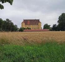 Kleine Zwei-Zimmer-Wohnung zu vermieten - Erbach