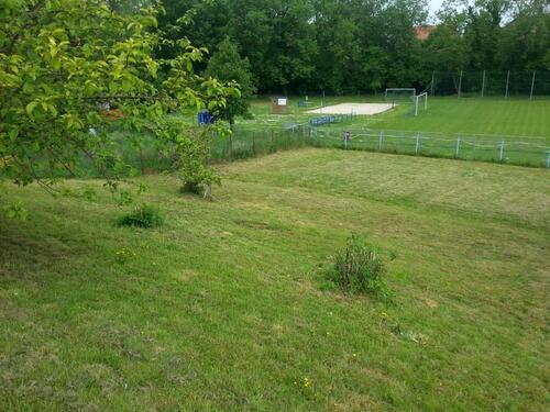 Foto - Einfamilienhaus in Osterwieck zum Kaufen