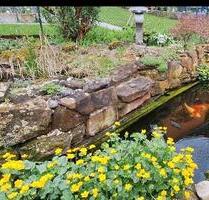 2 Fam. Haus mit viel Platz für eine große Familie - Erbach