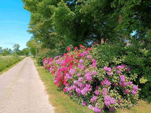 Foto - andere zur Miete in Westerholt