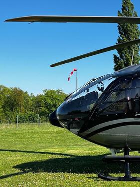 Foto - andere in Gundelsheim