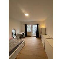 Möblierte 1-Zimmer Wohnung in Landau mit Einbauküche - Landau in der Pfalz