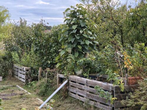 Foto - Grundst&uuml;ck in Schwerin