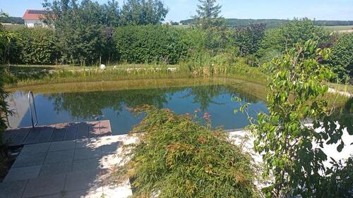 Foto - 8 Zimmer Einfamilienhaus zum Kaufen in Wasserlosen
