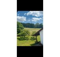 DG Wohnung zu vermieten - 1.400,00&nbsp;EUR Kaltmiete, ca.&nbsp; 100,00&nbsp;m&sup2; in Dietmannsried (PLZ: 87463)