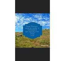 Ferienwohnung „Unter den Linden „ Ostfriesland - Westoverledingen