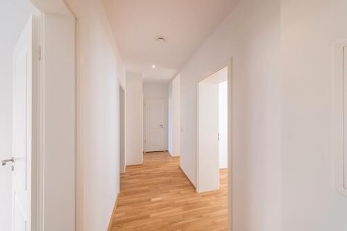 Foto - Etagenwohnung zur Miete in Chemnitz