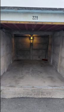 Foto - andere in Dresden