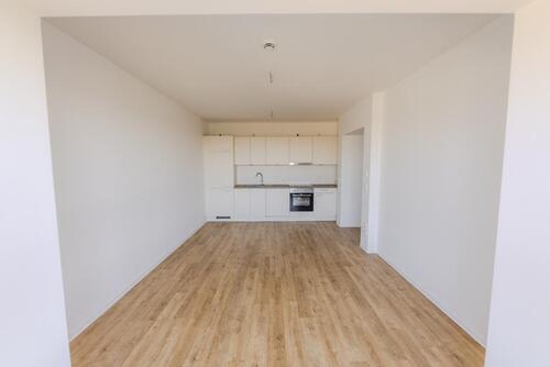 Foto - 3 Zimmer Etagenwohnung zur Miete in Cottbus