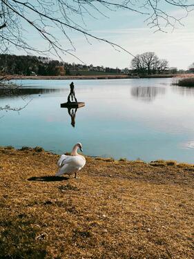 Foto - 3 Raum Wohnung in Hainspitz ab 01.07.2026