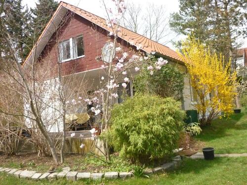 Foto - 3 Zimmer Einfamilienhaus zum Kaufen in Machern