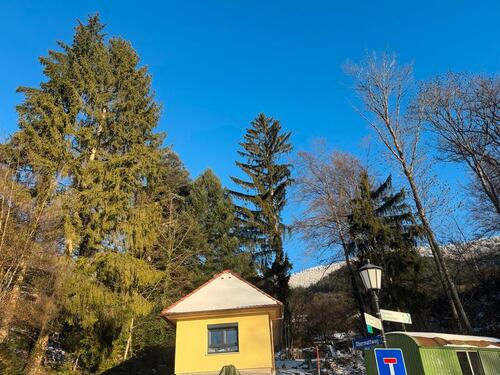 Foto - Tiny Haus Kleines Häuschen zu vermieten
