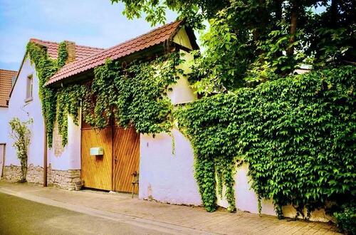 Foto - 5.5 Zimmer Bauernhaus, Landhaus zum Kaufen in Bechtolsheim