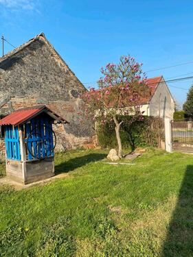Foto - Haus in Söjtör zu vermieten ( HU )