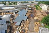 Foto - 23000 Hektar Forstwirtschaft und Holzverarbeitungsbetrieb