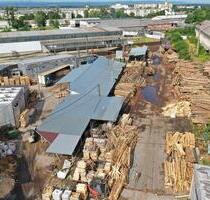 23000 Hektar Forstwirtschaft und Holzverarbeitungsbetrieb - Damme