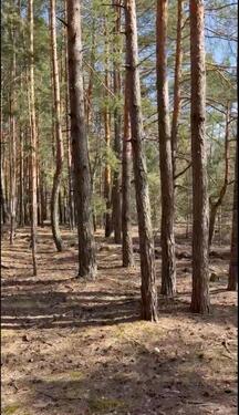 Foto - andere zur Miete in Damme