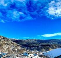 Edle 120qm Panorama Wohnung A Lage Zentrum Bodenmais zu vermieten