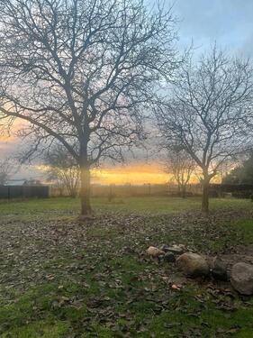 Foto - Einfamilienhaus zur Miete in Velten