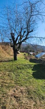 Foto - Garten Freizeitgrundstück - 100,00&nbsp;EUR Kaltmiete, ca.&nbsp; 0,00&nbsp;m&sup2;