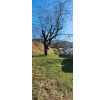 Garten Freizeitgrundstück - 100,00&nbsp;EUR Kaltmiete, ca.&nbsp; 0,00&nbsp;m&sup2; in Lahr (Schwarzwald) (PLZ: 77933)