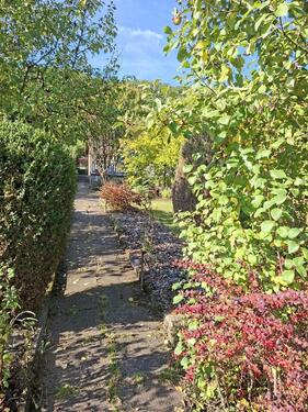 Foto - Grundstück in Meiningen zur Miete
