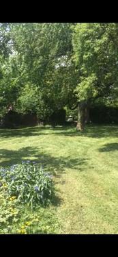 Foto - Grundst&uuml;ck in Wiesbaden zur Miete