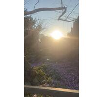 Helle 1-Zimmer-Wohnung am Botanischen Garten mit Balkon - Greifswald