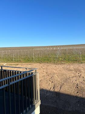 Foto - Etagenwohnung in Bad Kreuznach zur Miete