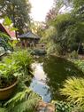 Foto - andere in Apen